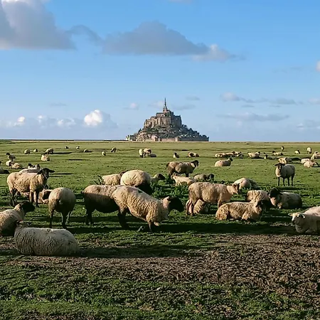 Le Petit Mouton Apartmán Pontorson