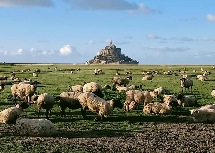 Le Petit Mouton Appartement Pontorson